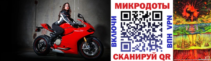 Псилоцибиновые грибы Cubensis  Приозерск 